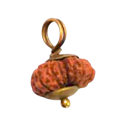 Natural 14 Mukhi Rudraksha Pendant