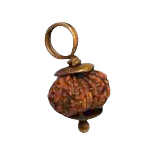 Natural 14 Mukhi Rudraksha Pendant