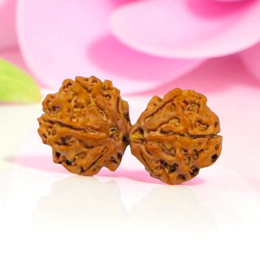 Gauri Shankar Rudraksha