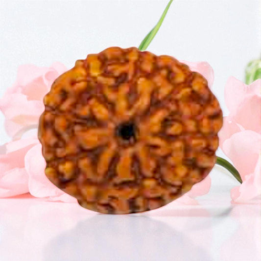 Natural 9 Mukhi Rudraksha