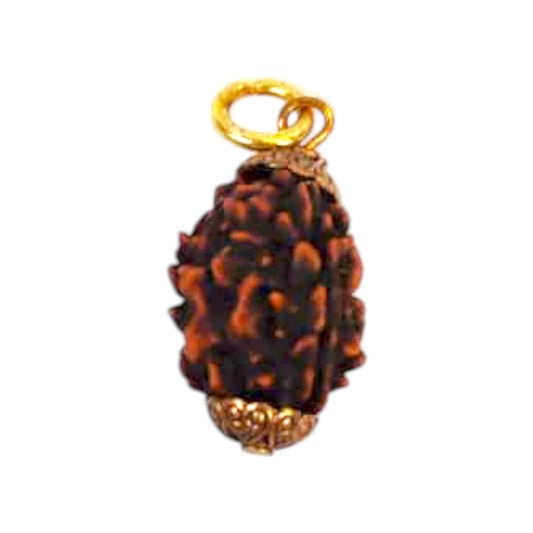 Natural 3 Mukhi Rudraksha Pendant