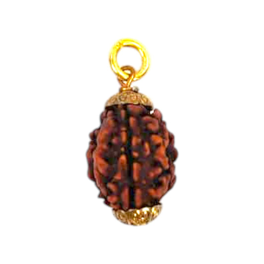 Natural 3 Mukhi Rudraksha Pendant