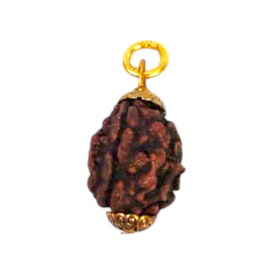 Natural 3 Mukhi Rudraksha Pendant
