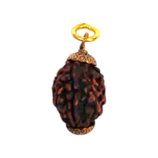 Natural 3 Mukhi Rudraksha Pendant