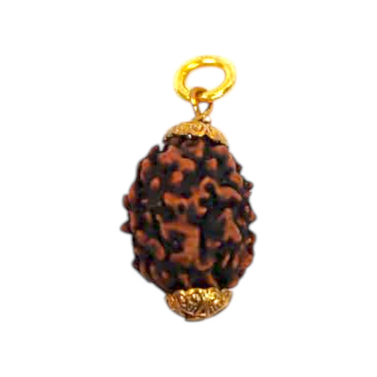Natural 3 Mukhi Rudraksha Pendant