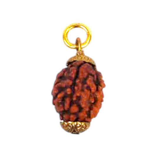 Natural 3 Mukhi Rudraksha Pendant