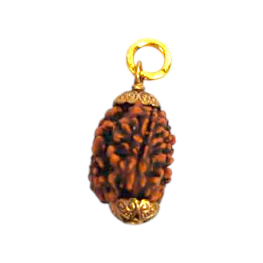 Natural 3 Mukhi Rudraksha Pendant