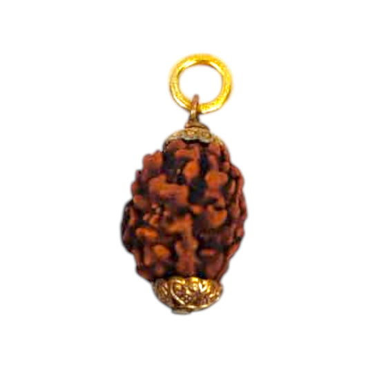Natural 3 Mukhi Rudraksha Pendant