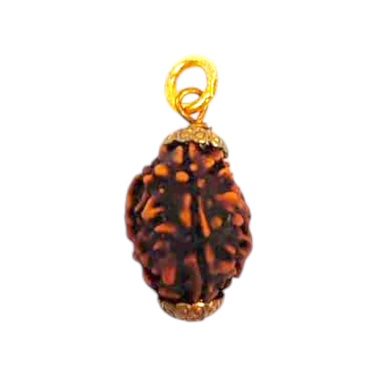 Natural 3 Mukhi Rudraksha Pendant