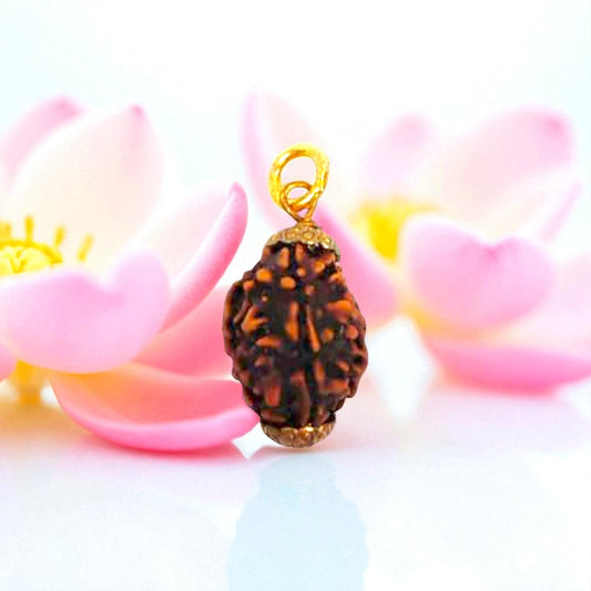 Natural 3 Mukhi Rudraksha Pendant