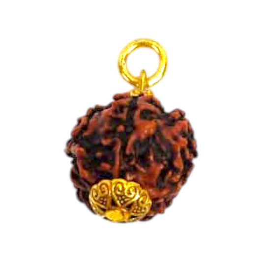 Natural 5 Mukhi Rudraksha Pendant