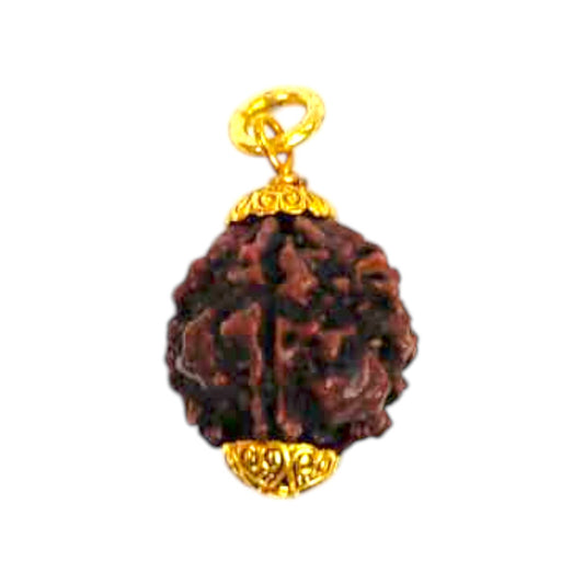Natural 5 Mukhi Rudraksha Pendant
