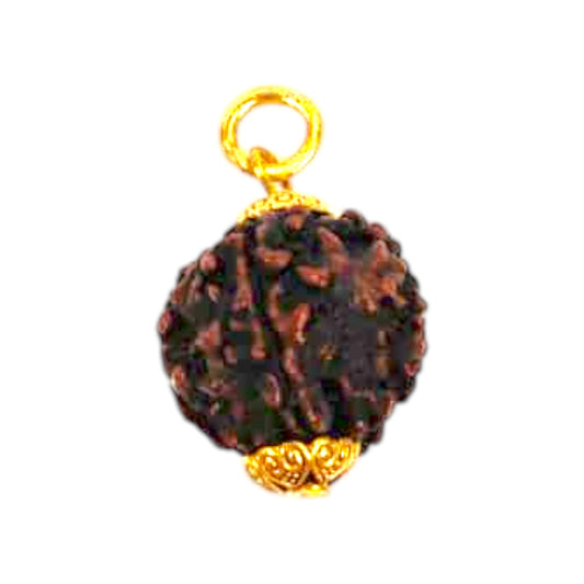 Natural 5 Mukhi Rudraksha Pendant