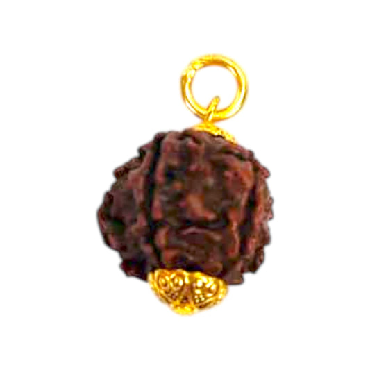 Natural 5 Mukhi Rudraksha Pendant