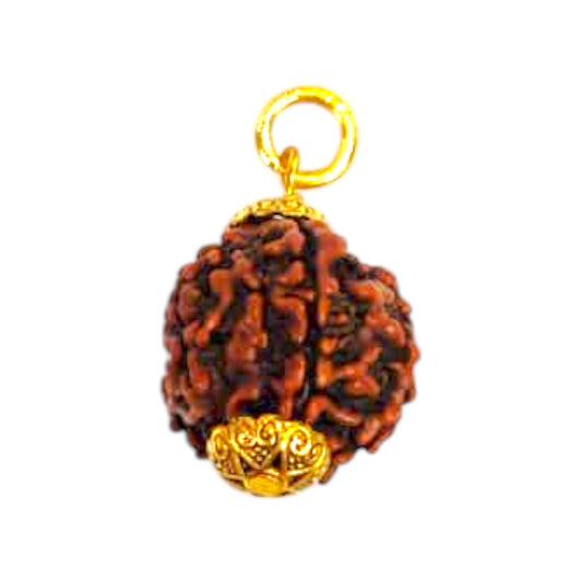 Natural 5 Mukhi Rudraksha Pendant