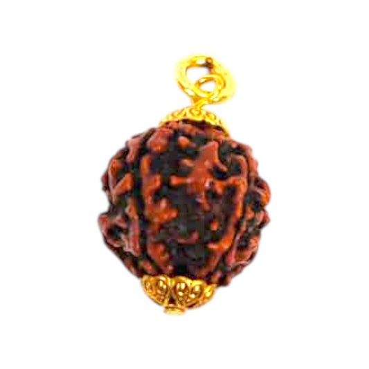 Natural 5 Mukhi Rudraksha Pendant
