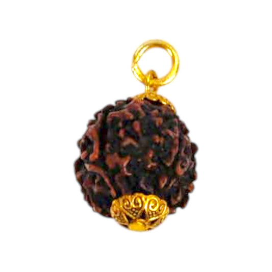 Natural 5 Mukhi Rudraksha Pendant