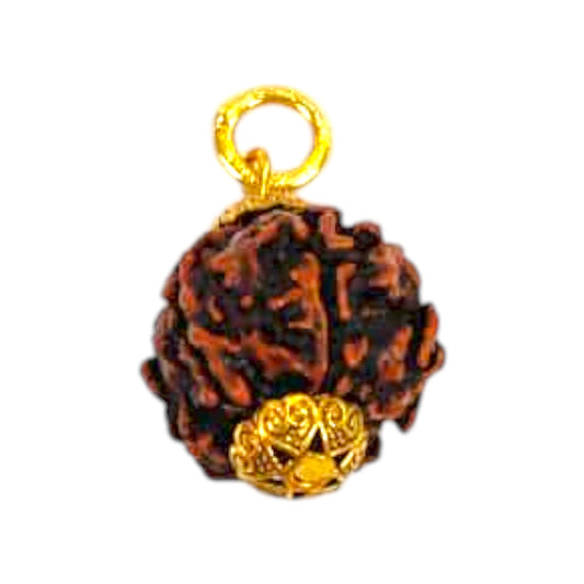 Natural 5 Mukhi Rudraksha Pendant