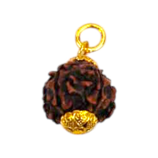 Natural 5 Mukhi Rudraksha Pendant