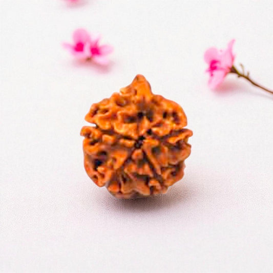 Natural Ganesh Rudraksha