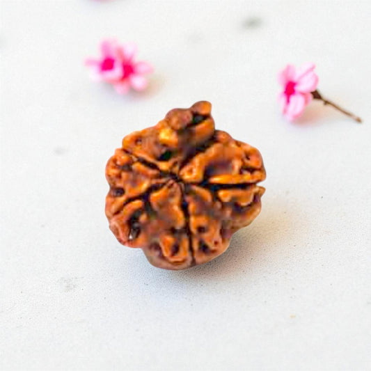 Natural Ganesh Rudraksha