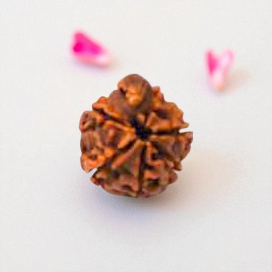 Natural Ganesh Rudraksha