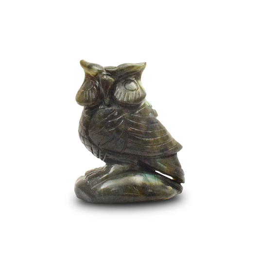 Labrodorite Owl -  10.16 cm Sculpture Hand Carved, 640 Gram
