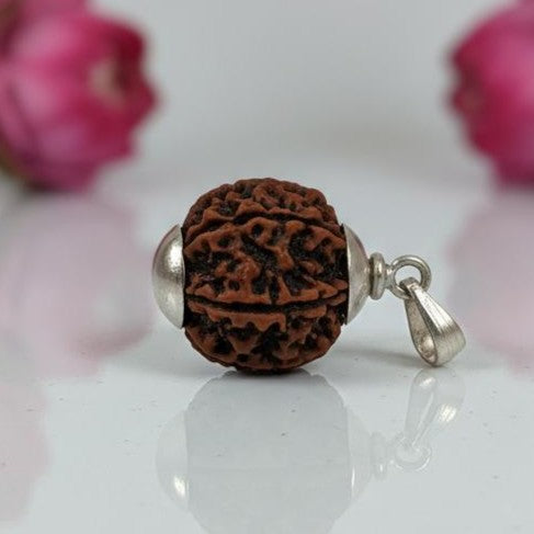6 Mukhi Rudraksha Silver (92.5) Pendant