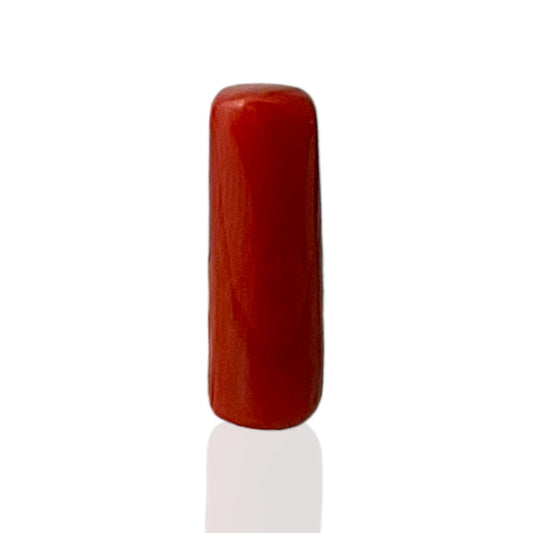 Natural Coral (Italian) - 7.8 Carat