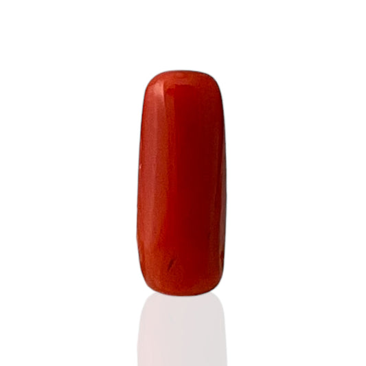 Natural Coral (Italian) - 7.4 Carat
