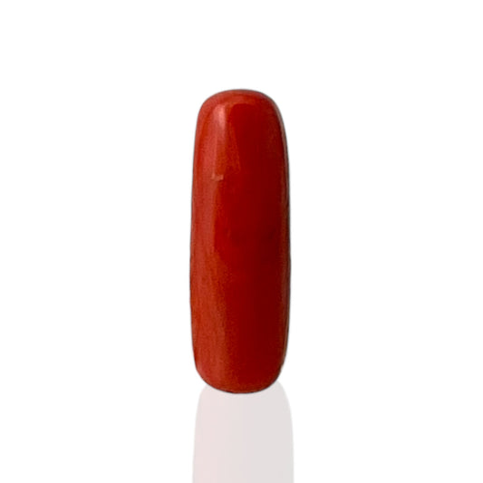 Natural Coral (Italian) - 6.9 Carat