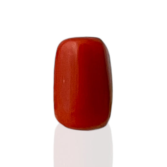 Natural Coral (Italian) - 5.3 Carat