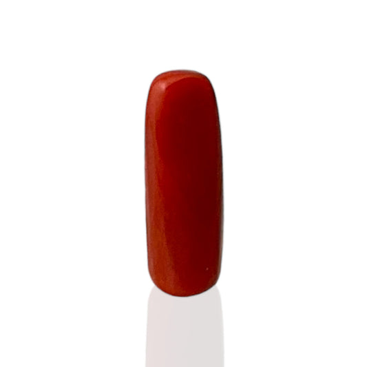 Natural Coral (Italian) - 6.5 Carat