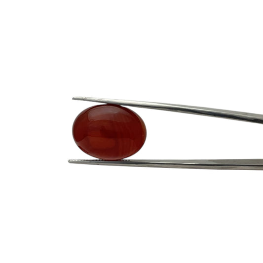 Carnelian Oval Cabachon - 18.2 Carat