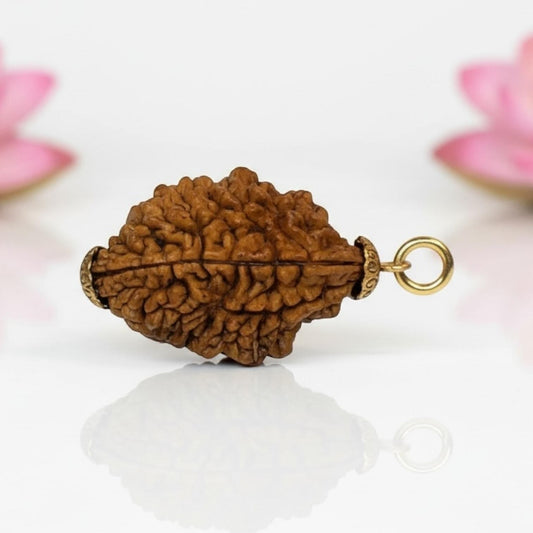 2 Mukhi Rudraksha Gold-Plated Pendant - AA Premium Quality