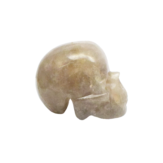 Natural Smoky Quartz Crystal Skull Showpiece - 8.89 cm Handcrafted Showpiece (990 Gram)