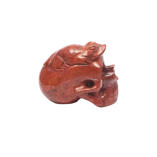 Natural Red Jasper Crystal Skull Showpiece - 8.89 cm Handcrafted Showpiece (590 Gram)