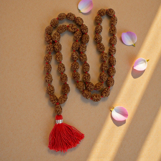 3 Mukhi Rudraksha Mala (108+1)