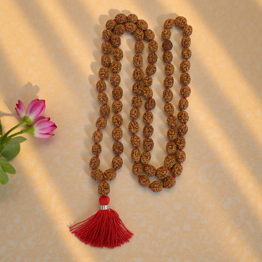 4 Mukhi Rudraksha Mala (81+1)
