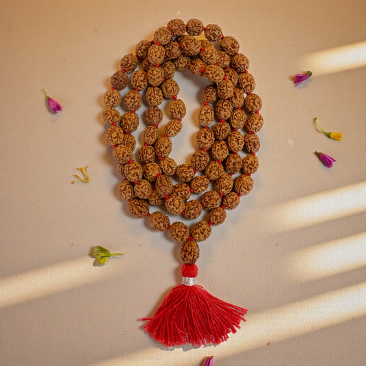 4 Mukhi Rudraksha Mala (81+1)