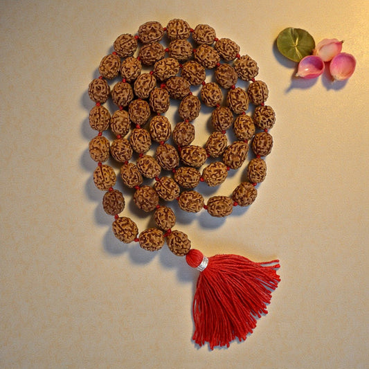 4 Mukhi Rudraksha Mala (54+1)
