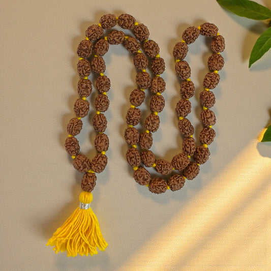 3 Mukhi Rudraksha Mala (54+1)
