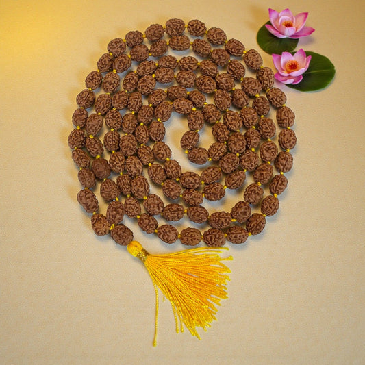3 Mukhi Rudraksha Mala (108+1)