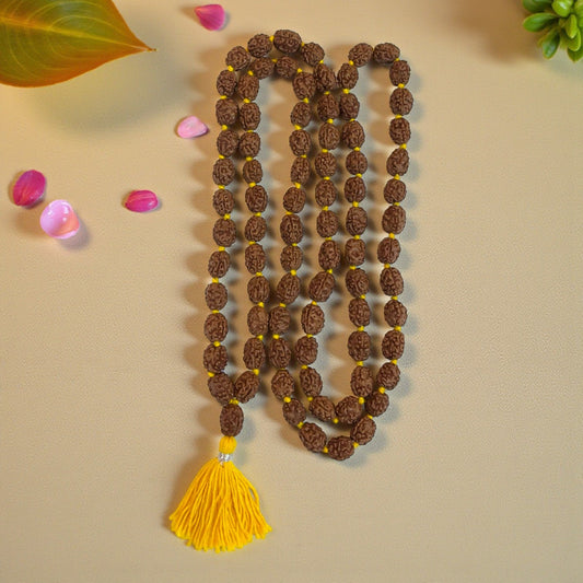 3 Mukhi Rudraksha Mala (81+1)