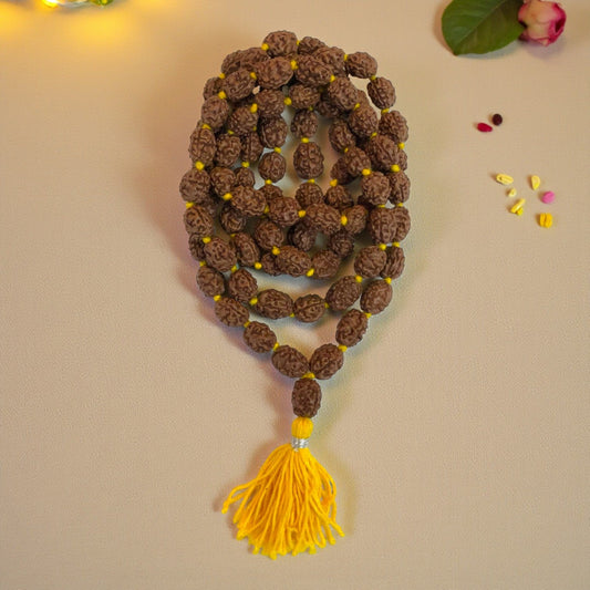 3 Mukhi Rudraksha Mala (81+1)