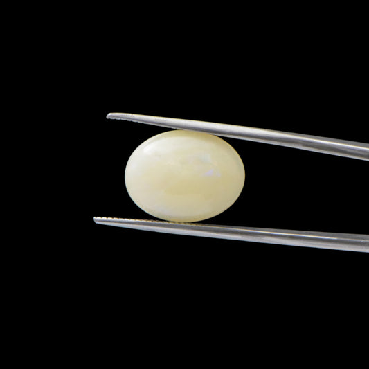 Australian Opal - 6.9 Carat