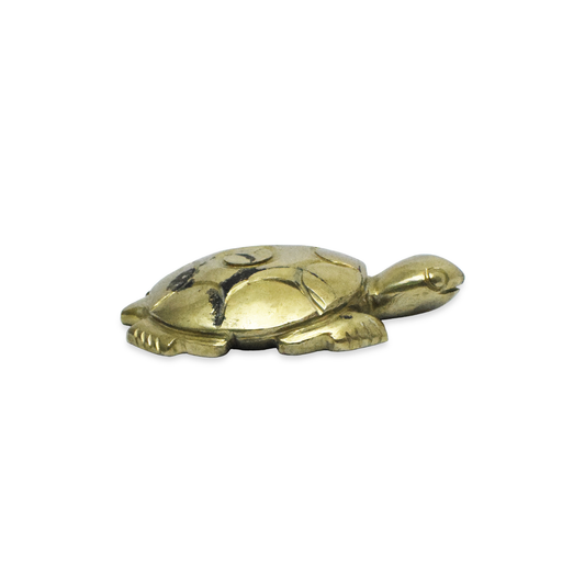 Natural Pyrite Turtle Decorative Showpiece - 8.89 cm Handcrafted Showpiece (250 Gram)