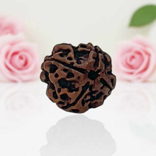 Natural 4 Mukhi Rudraksha Beads – AA Premium Quality