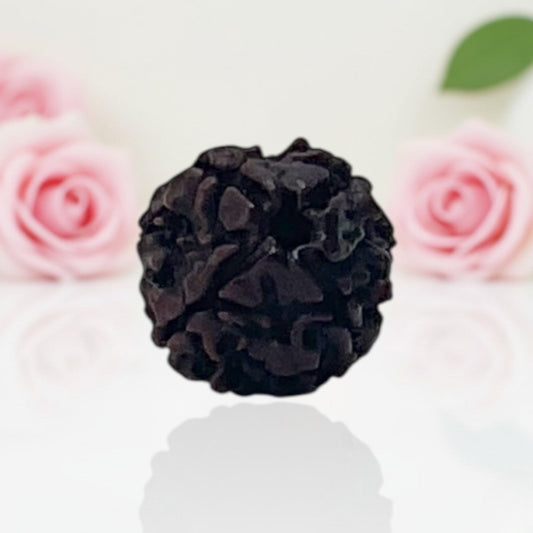 Natural 4 Mukhi Rudraksha Beads – A Premium Quality