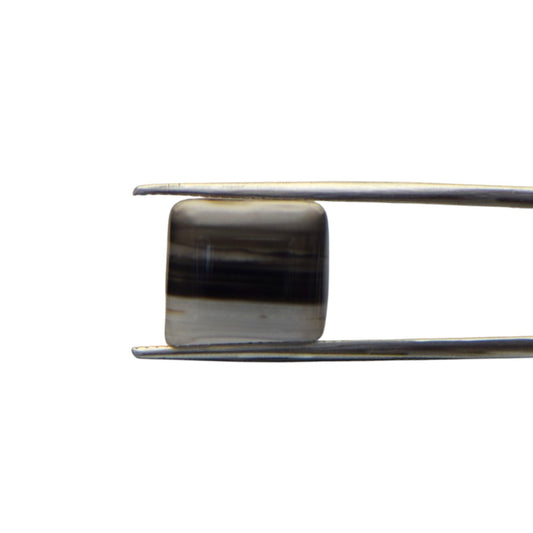 Natural Black Agate - 10.4 Carat